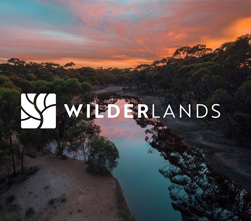 Wilderlands Project Brief