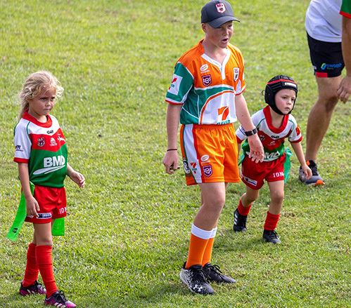 NRL Project Brief
