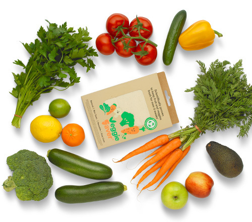 VeggieSaver Project Image