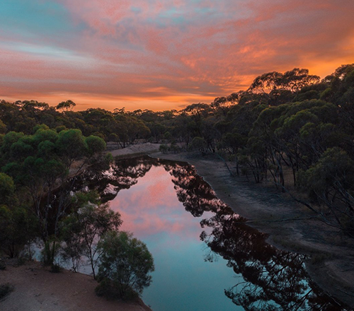 Wilderlands-500x440-image
